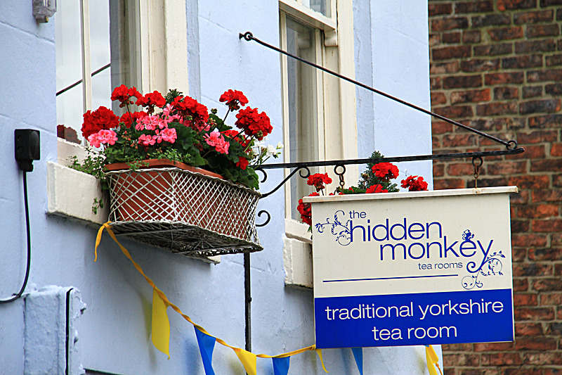 IMG_7396 - MALTON IN BLOOM 2017