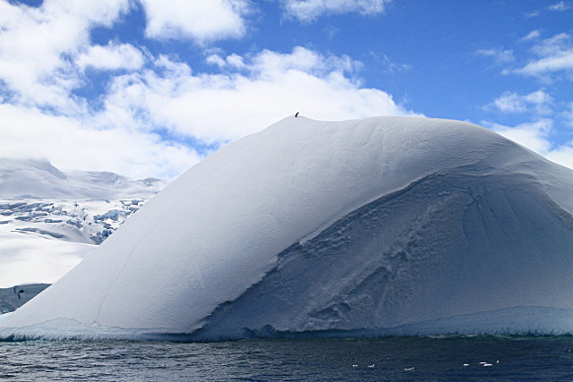  - ANTARCTICA NOV 2014