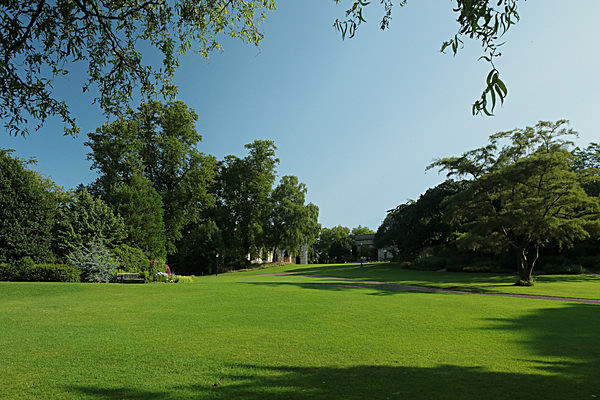 IMGL7675 - MUSEUM GARDENS