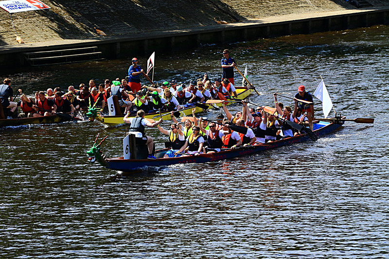BV6R4413 - DRAGON BOAT RACE 2017