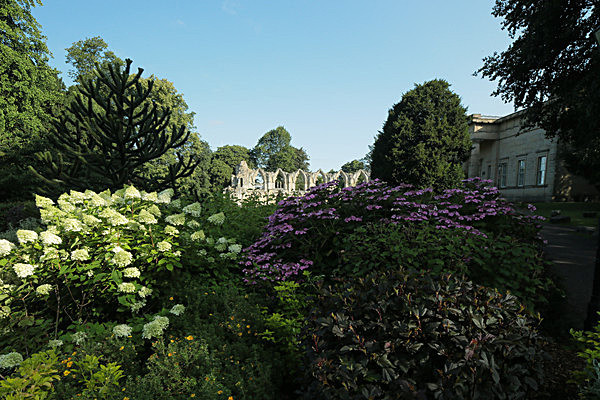 IMGL7606 - MUSEUM GARDENS