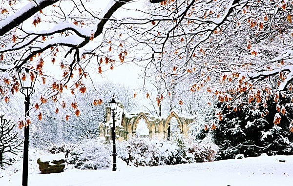SNOWY ST MARY'S ABBEY   http://www.yorkagainstcancer.org.uk/products/ - YORK AGAINST CANCER CHRISTMAS CARD CHOICE 2011