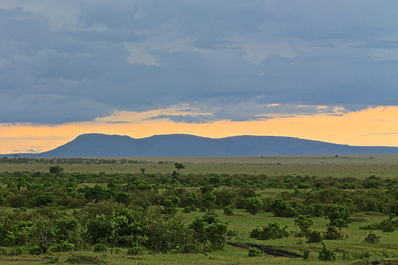  - MASAI MARA, KENYA  OCT 2014