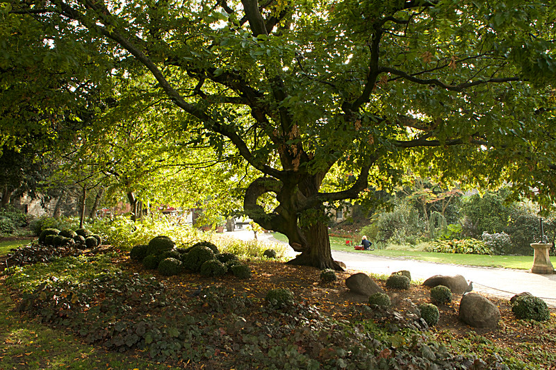 OCTOBER 2014-12 - FOUR SEASONS MUSEUM GARDENS