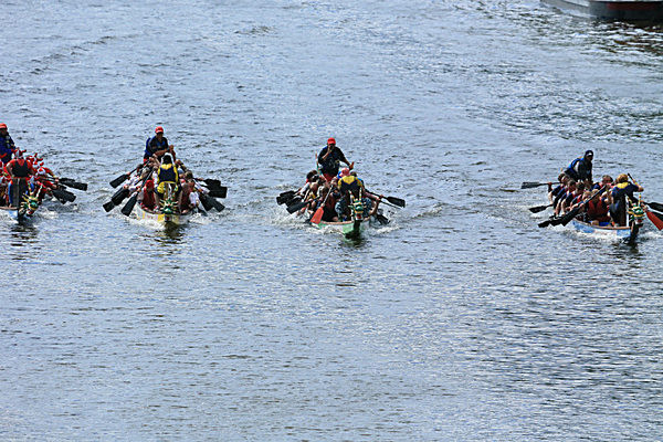IMGL7002 - DRAGON BOAT RACE 2014 York Rotary Club
