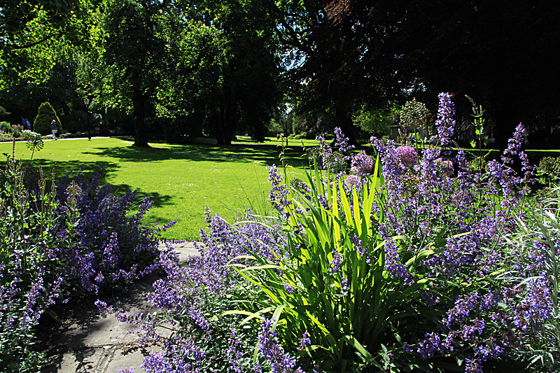 JUNE 2015-25 - FOUR SEASONS MUSEUM GARDENS