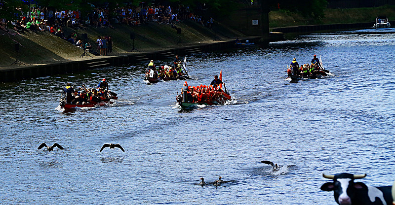 BV6R4417 - DRAGON BOAT RACE 2017