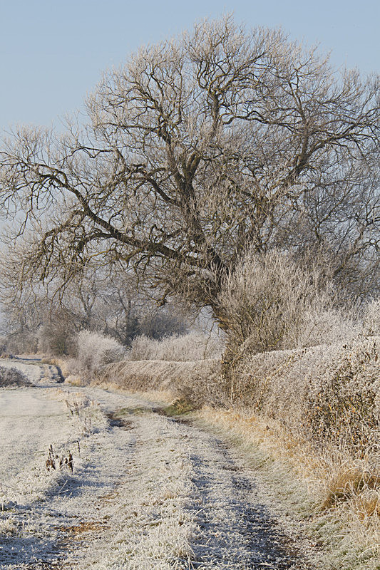 100_4818_2 - PORTFOLIO 2015