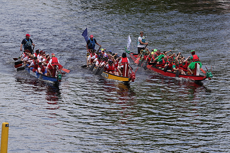 0I9A6952 - DRAGON BOAT RACE 2025