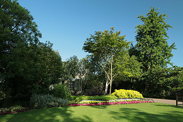 IMGL7652 - MUSEUM GARDENS