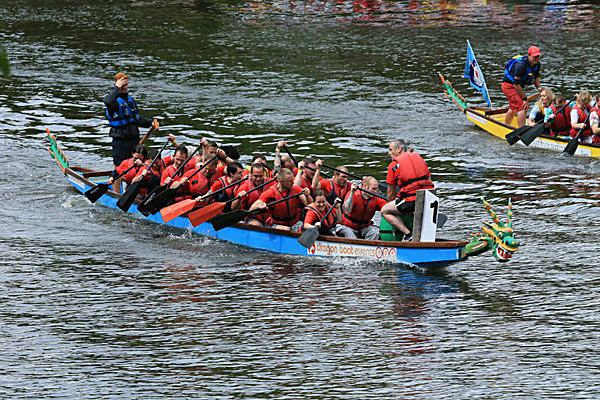 IMGL6640 - DRAGON BOAT RACE 2014 York Rotary Club