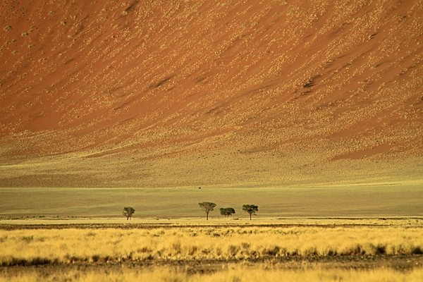 IMG_4863 - NAMIBIA 2012