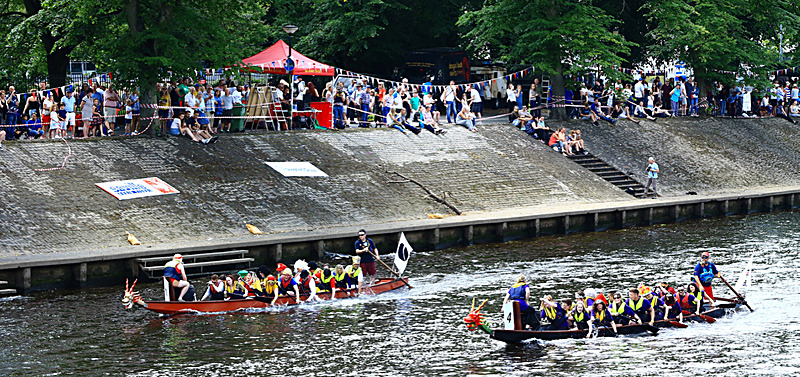 BV6R4425 - DRAGON BOAT RACE 2017