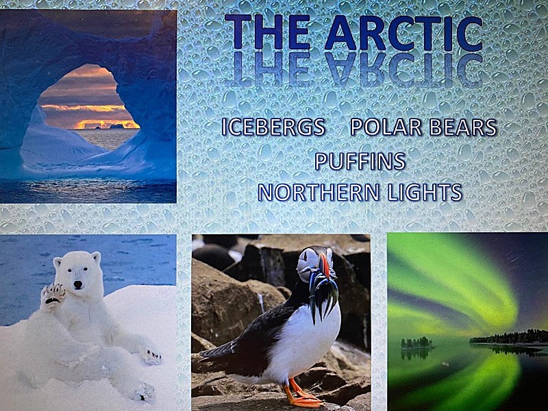 - Icebergs, Polar Bears, Puffins, Northern Lights. Zoom Presentation, Forest of Galtres Camera Club.