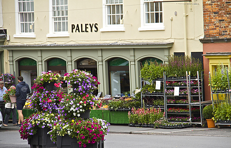 IMG_7491 - MALTON IN BLOOM 2017