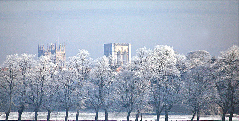 IMG_2118 MINSTER AND FROSTED TREES FROM YORK KNAVESMIRE copy 3 - PORTFOLIO 2015
