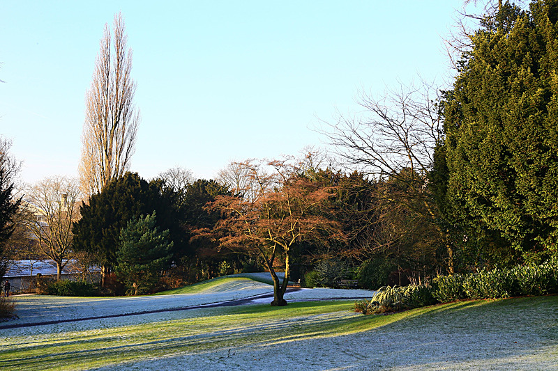 DECEMBER 2014-10 - FOUR SEASONS MUSEUM GARDENS