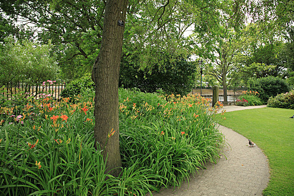 IMG_7598 - MUSEUM GARDENS