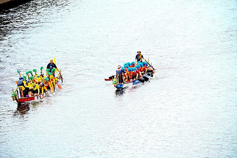 DRAGON BOAT RACE 10 July 2016 - 340 of 549 - DRAGON BOAT RACES 2016 York Rotary Club