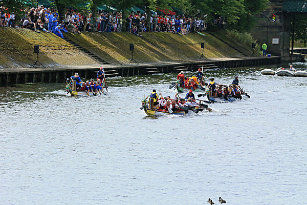 IMGL6787 - DRAGON BOAT RACE 2014 York Rotary Club