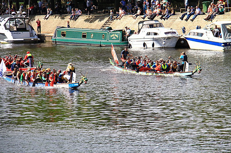 DRAGON BOAT RACE 10 July 2016 - 452 of 549 - DRAGON BOAT RACES 2016 York Rotary Club