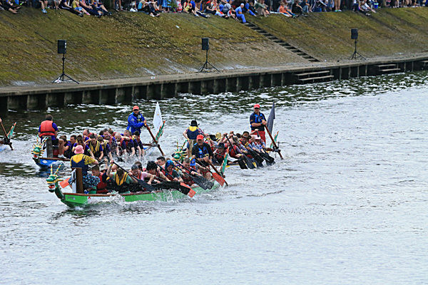 IMGL6841 - DRAGON BOAT RACE 2014 York Rotary Club