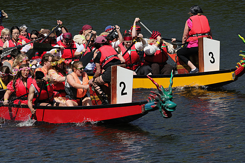THE YORK ROTARY DRAGON BOAT CHALLENGE 2026 - 200 of 426 - DRAGON BOAT RACE 2026. York Rotary Club.