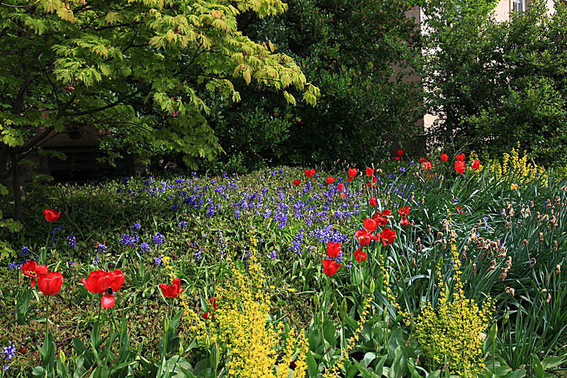 MAY 2015-9 - FOUR SEASONS MUSEUM GARDENS