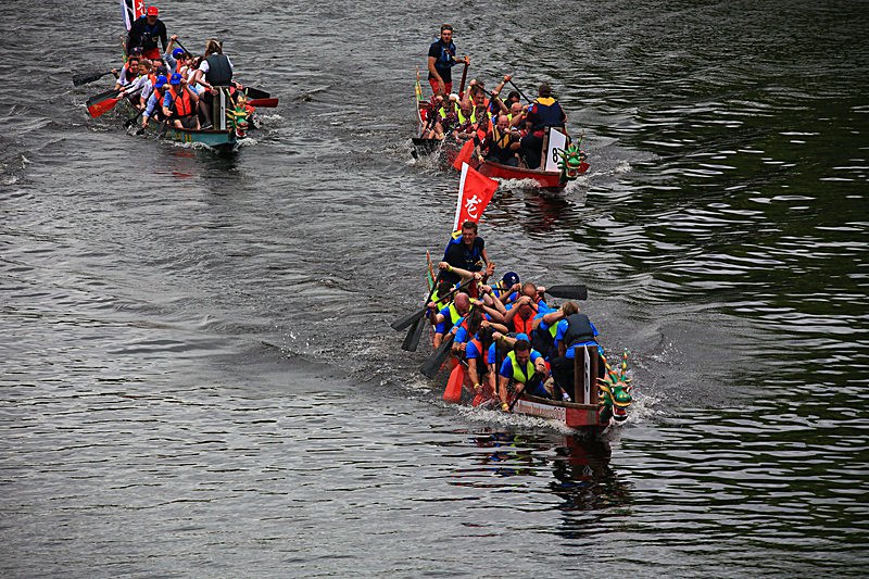 DRAGON BOAT RACE 10 July 2016 - 288 of 549 - DRAGON BOAT RACES 2016 York Rotary Club