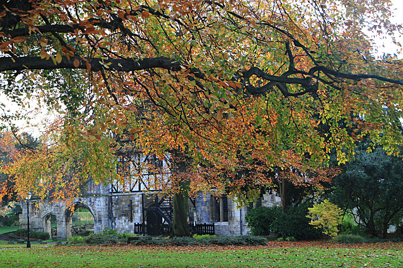 OCTOBER  2014   -3 - FOUR SEASONS MUSEUM GARDENS