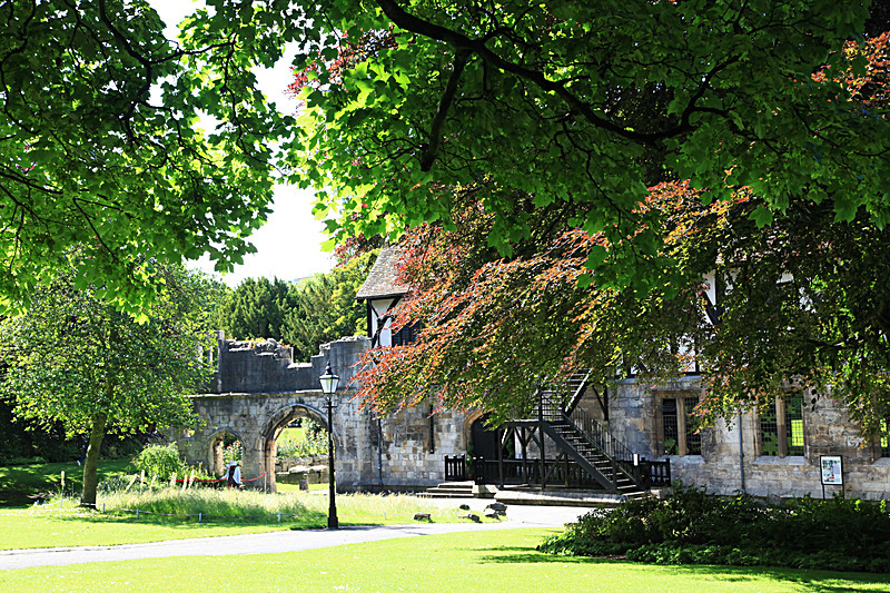 JUNE 2015 -7 - FOUR SEASONS MUSEUM GARDENS