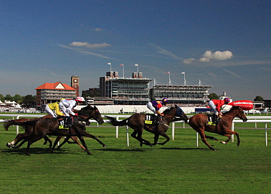 A Day at York Races - YORK AGAINST CANCER CALENDAR 2011