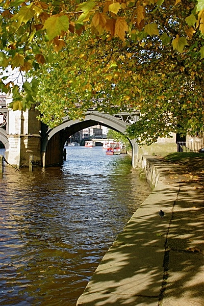  - YORK AGAINST CANCER CALENDAR 2010