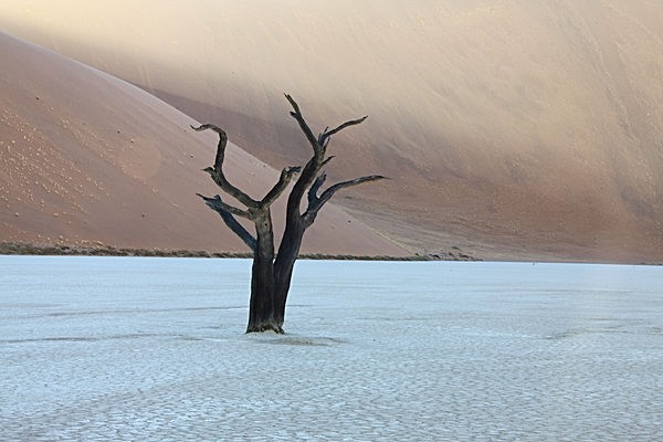 IMG_0909 - NAMIBIA 2012