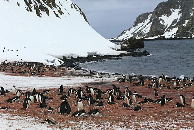  - ANTARCTICA NOV 2014