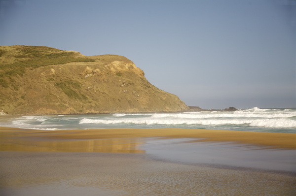 SAND FLY BEACH, DUNEDIN - NEW ZEALAND