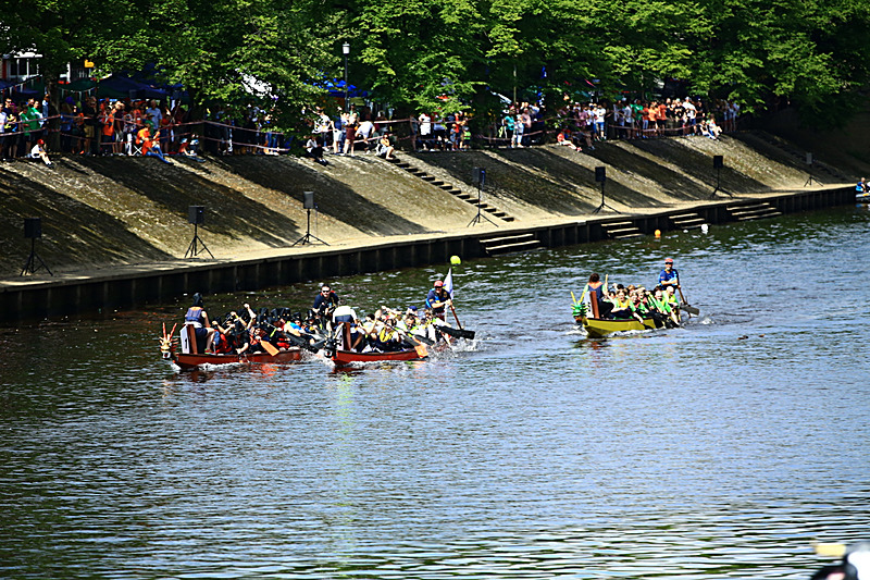 BV6R4252 - DRAGON BOAT RACE 2017