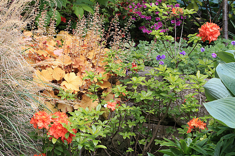 JUNE 2015-16 - FOUR SEASONS MUSEUM GARDENS