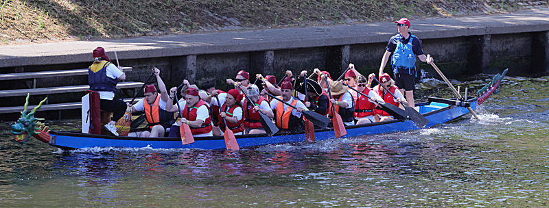 THE YORK ROTARY DRAGON BOAT CHALLENGE 2026 - 258 of 426 - DRAGON BOAT RACE 2026. York Rotary Club.