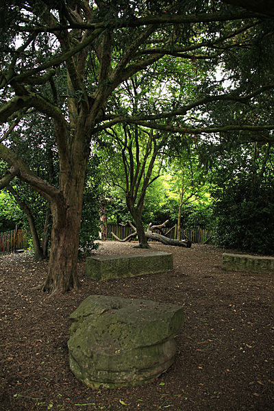 IMG_7629_2 - MUSEUM GARDENS