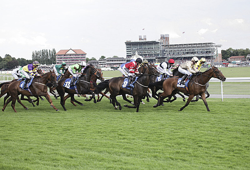 YORK RACES-3701 - PORTFOLIO 2015
