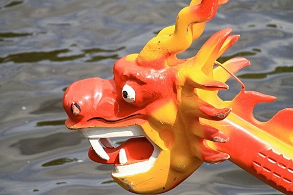 IMG_1347 - DRAGON BOAT RACE 2011 York Rotary Club