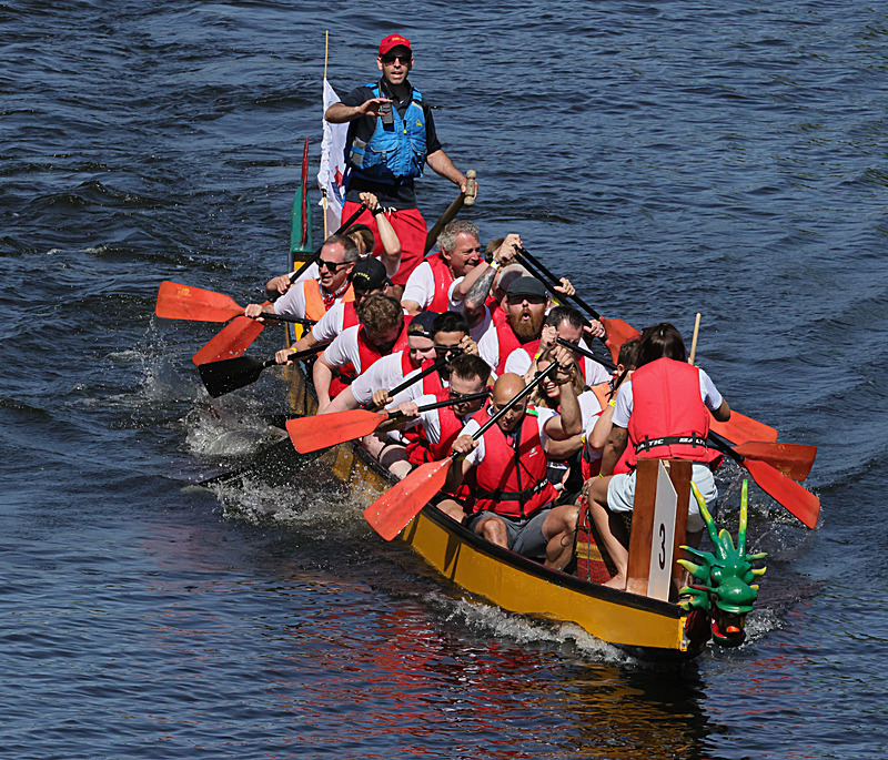 THE YORK ROTARY DRAGON BOAT CHALLENGE 2026 - 66 of 426 - DRAGON BOAT RACE 2026. York Rotary Club.