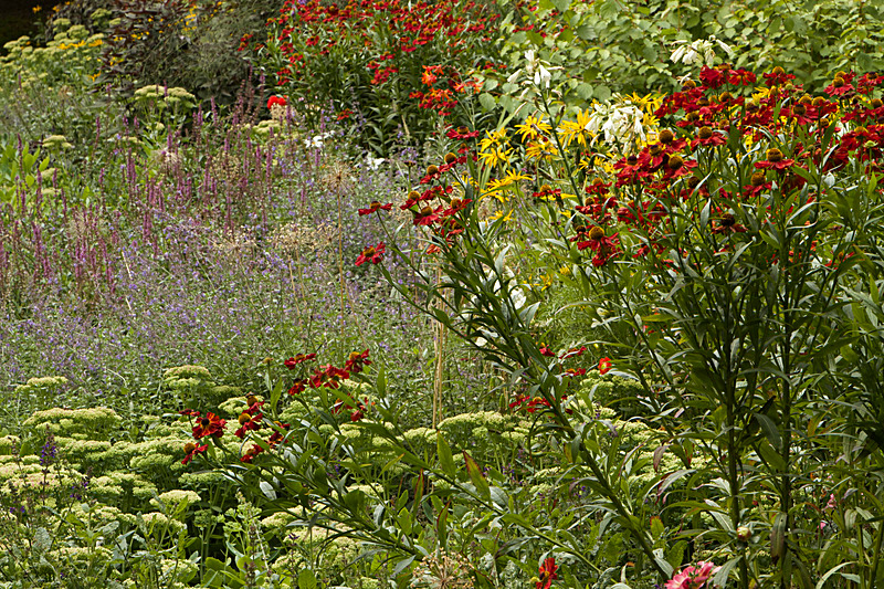 AUGUST 2014  -11 - FOUR SEASONS MUSEUM GARDENS