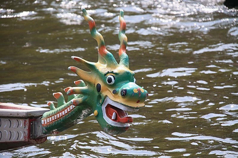 BV6R1644 - DRAGON BOAT RACES 2015 York Rotary Club