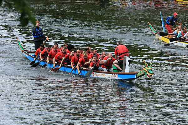 IMGL6639 - DRAGON BOAT RACE 2014 York Rotary Club