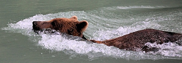  - ALASKA
