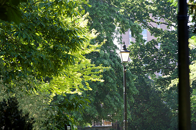 JUNE 2015 -9 - FOUR SEASONS MUSEUM GARDENS