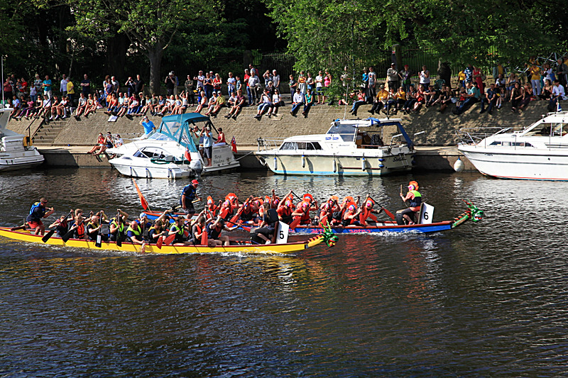 IMG_3641 - DRAGON BOAT RACE 2017