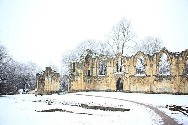 IMG_7708 2 - MUSEUM GARDENS